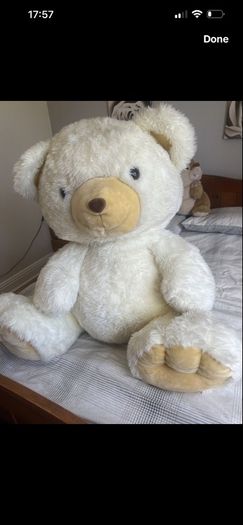 teddy bear
