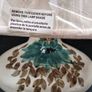 Jersey Pottery  Lamp Image 4