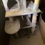 large cat tree Image 5