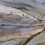 Dress Shirts Image 9