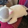 Super Soft Cat Teddy Image 2