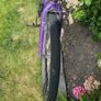bike Image 7