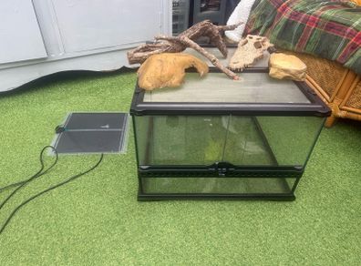 lizard tank