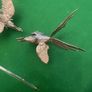 Vintage Silver Plated Brass Cockerel Ornaments Pair Image 7