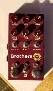 Chase Bliss Brothers AM