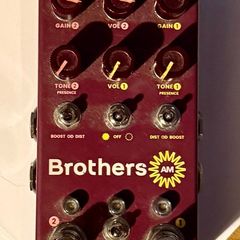 Chase Bliss Brothers AM