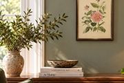 Original Elizabeth A McEwen RUA - Botanical Artwork - Dahlia - 1985