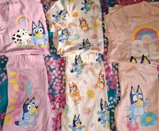 4 new suits bluey