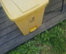 3 Pedal Bins Free To Take Away