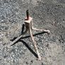 cement mixer stand Image 3