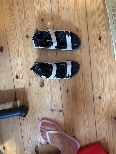 ecco shoes