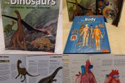 The Body Compact Knowledge Hardback Books
