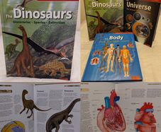 The Body Compact Knowledge Hardback Books