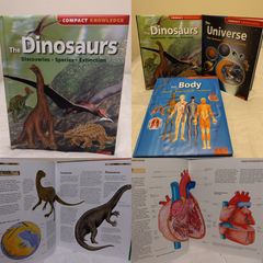 The Body Compact Knowledge Hardback Books