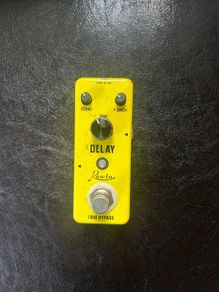 Rowin Analog Echo