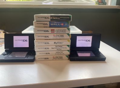 2 nintendo ds lites with games bundle