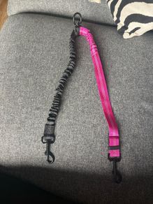 dual leash