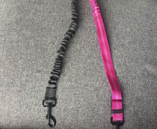 dual leash