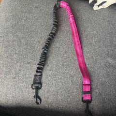 dual leash