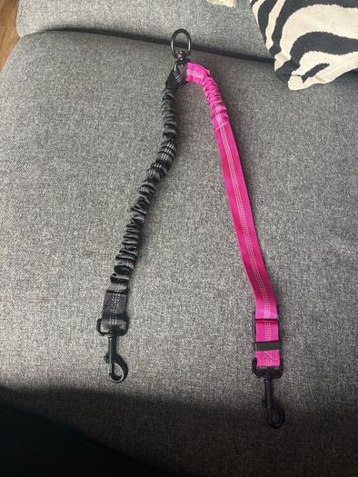 dual leash