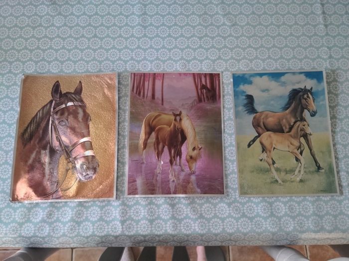 Horse prints
