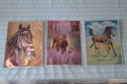 Horse prints