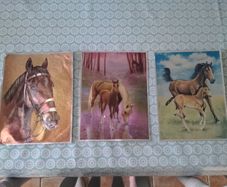 Horse prints