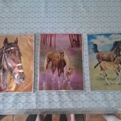 Horse prints