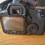 canon 40d Image 2