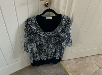 Ladies dressy top size 18