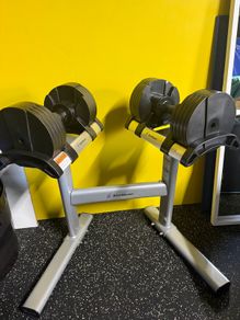 Stairmaster Dumbbells