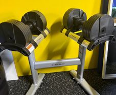 Stairmaster Dumbbells