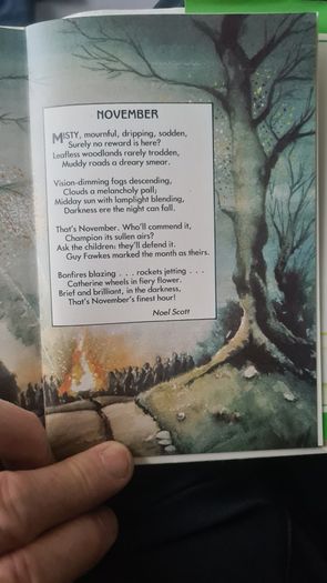 BEAUTIFUL ILLUSTRATED. THE FIRESIDE BOOK. 1995.POEMS OLD AND NEW EACH BEAUTIFULLY illustrated by a full page painting special commission to capture the flavour of the words. Hardback With Dustjacket In Very Good Condition.