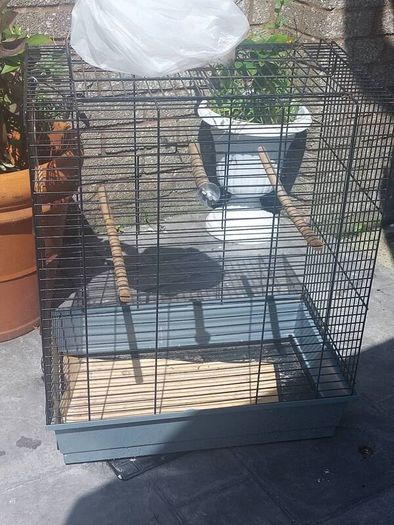 bird cage