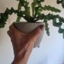 Artificial Plants in Ceramic Plant Pots with Decorative Stones x2 Image 4