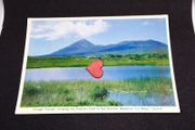Ireland Postcard : Croagh Patrick , Showing The Pilgrims Path to The Summit , Westport, Co. Mayo - 1970s/80s