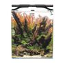 Aquael OptiBent 70 Aquarium Set Black Image 2