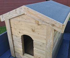 dog kennel