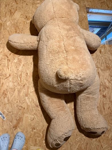New Giant teddy bear E70 Smyths need gone 3 days old
