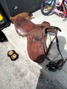 horse saddle