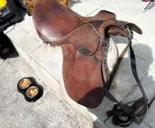 horse saddle