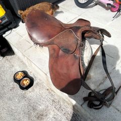horse saddle