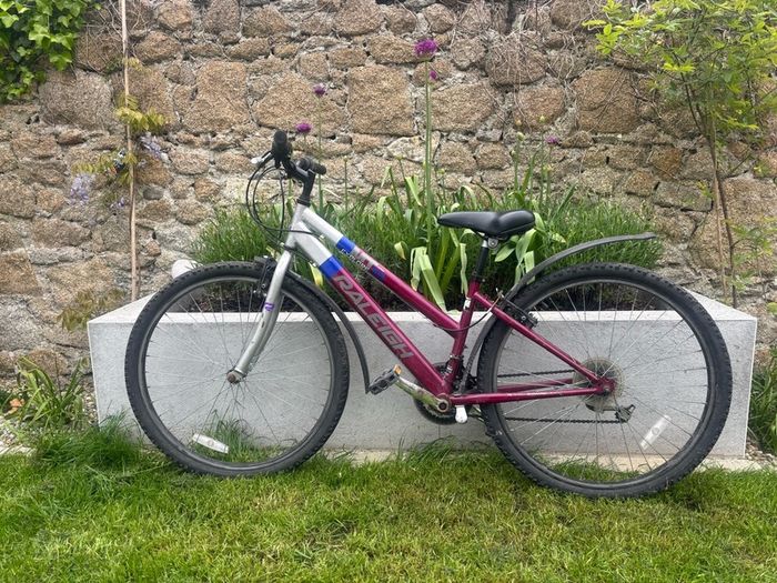 Raleigh  bike