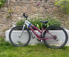 Raleigh  bike