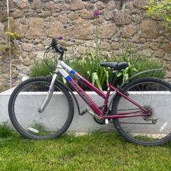 Raleigh  bike