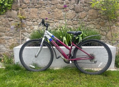 Raleigh  bike