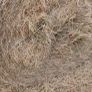 round bale hay Image 3
