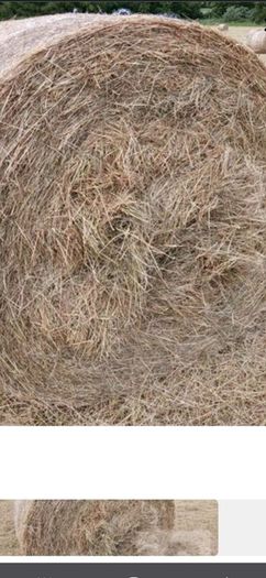 round bale hay