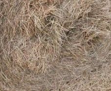 round bale hay