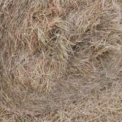 round bale hay